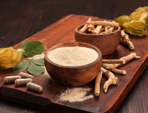 L’ashwagandha, la racine de l’équilibre et de la résilience