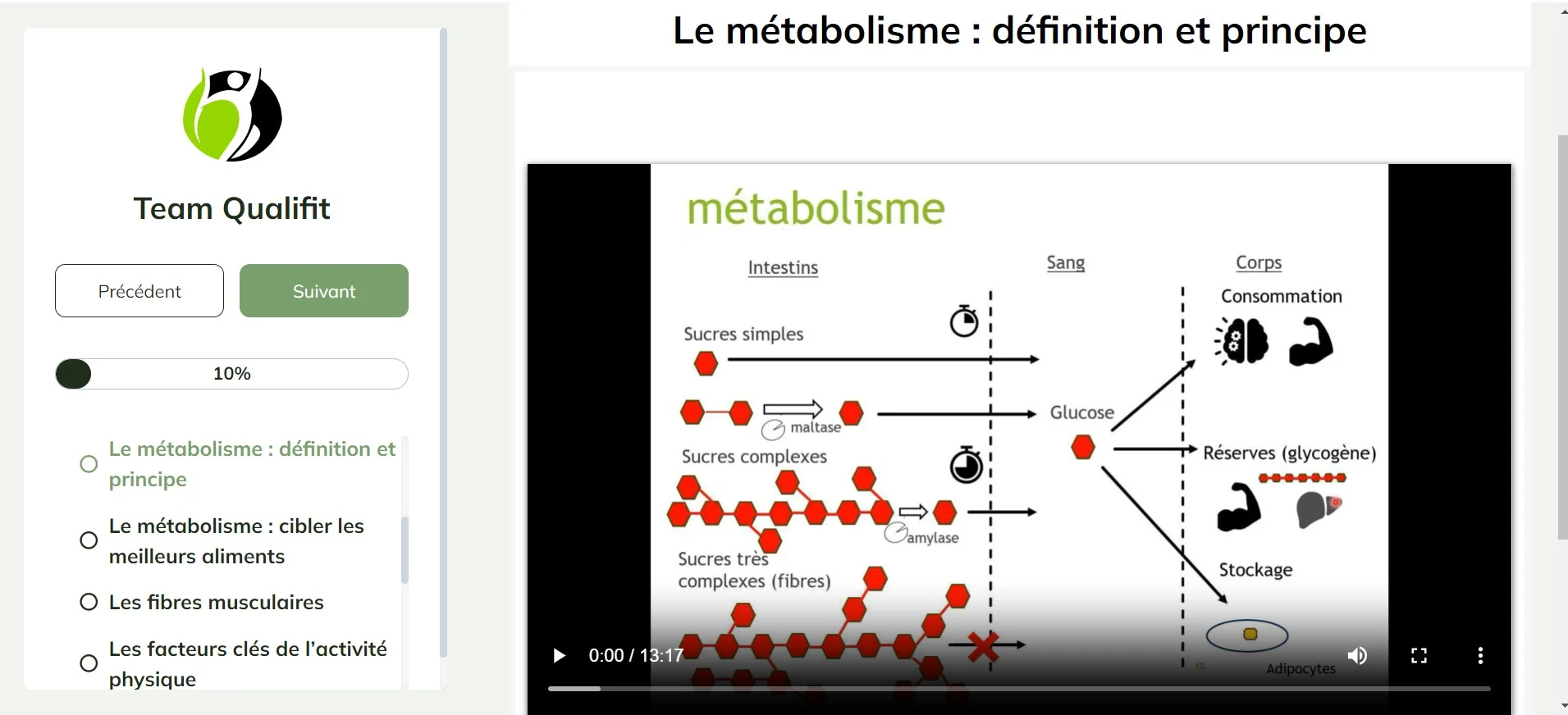 Capture d’écran métabolisme + plan .PNG